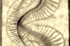 01-licht2
