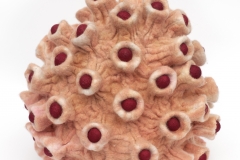 Future-of-Natural-History10