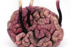 Future-of-Natural-History13-3