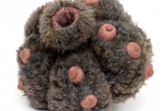 Future-of-Natural-History15