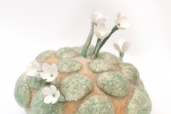 Future-of-Natural-History16