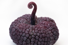 Future-of-Natural-History2-3