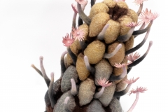 Future-of-Natural-History7